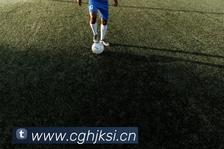 米兰体育网页官网发展历程